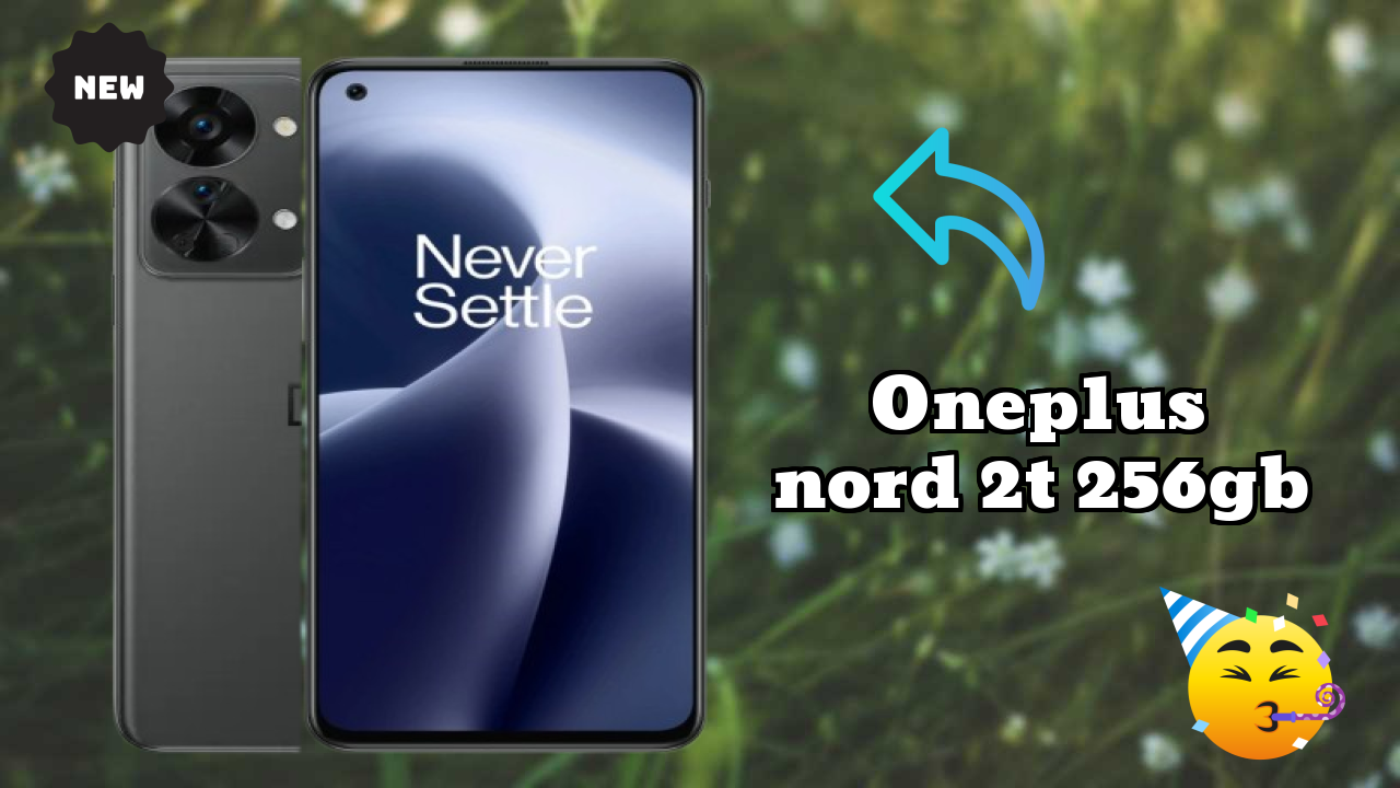 OnePlus Nord 2T 256GB Camera Samples: 50 MP + 8 MP + 2 MP Rear Camera Real Photos