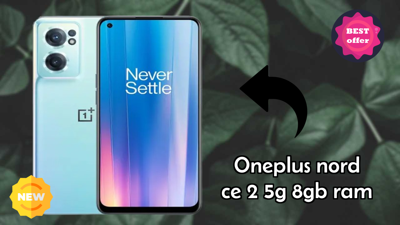 OnePlus Nord CE 2 5G 8GB RAM Camera Quality: 64 MP + 8 MP + 2 MP Rear Camera Photo Test